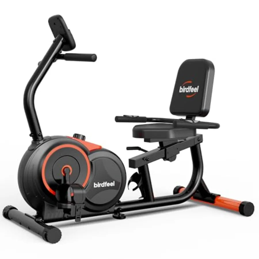Recumbent Exercise Bike for Home Adults Seniors 400 lbs Load Ccity 16 Adjustable Gears Soft Adjustable Seat Black