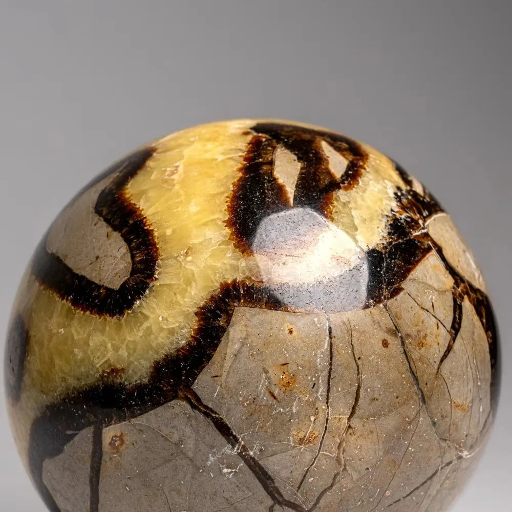Natural turtle back stone ball ornament, with random styles, suitable for home and garden decoration, can decorate spaces such as courtyards, terraces, living rooms, etc. It is also a Christmas and Halloween gift for family a