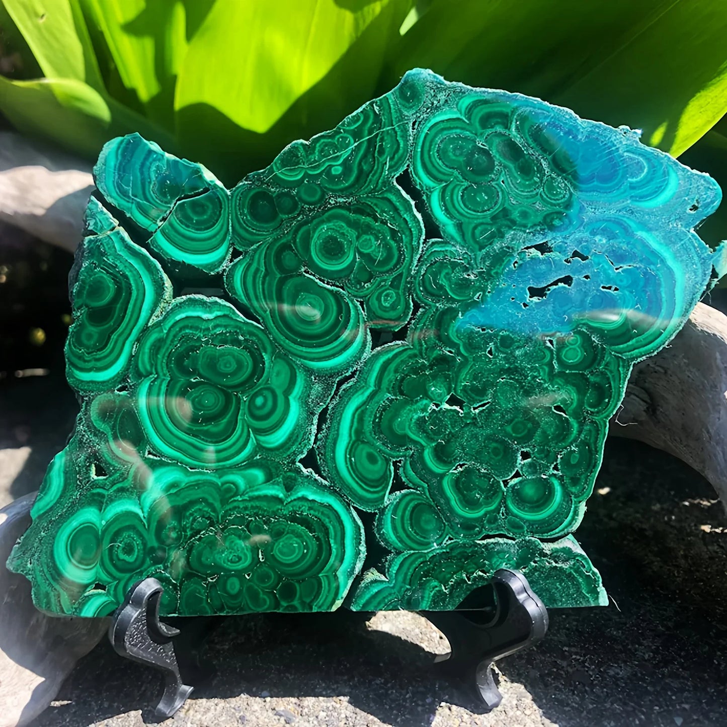 Malachite Slab, Natural Stone Polished Slab with Irregular Edges, Healing Energy crystal stone , Home Decor & Spiritual Gift
