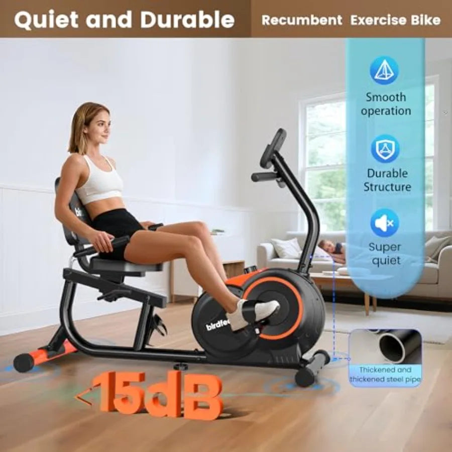 Recumbent Exercise Bike for Home Adults Seniors 400 lbs Load Ccity 16 Adjustable Gears Soft Adjustable Seat Black