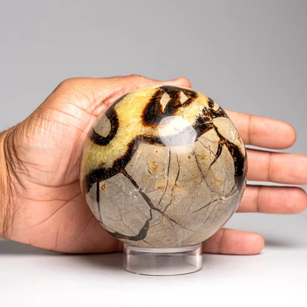 Natural turtle back stone ball ornament, with random styles, suitable for home and garden decoration, can decorate spaces such as courtyards, terraces, living rooms, etc. It is also a Christmas and Halloween gift for family a